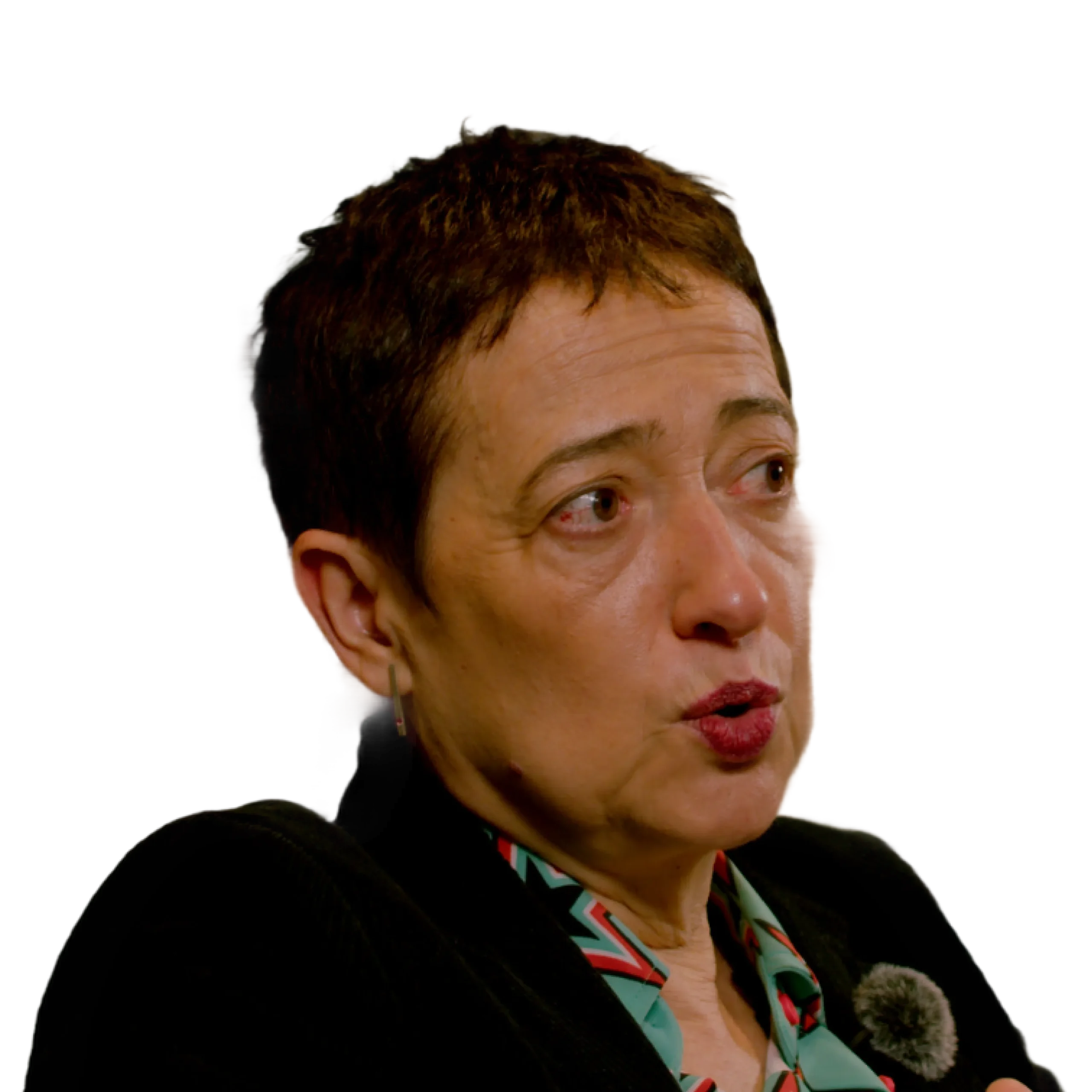 María Guerra Merino